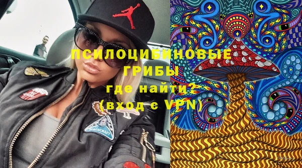 дживик Нефтегорск