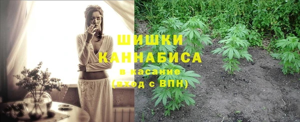 дживик Нефтегорск