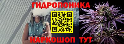 мяу мяу мука Гусиноозёрск