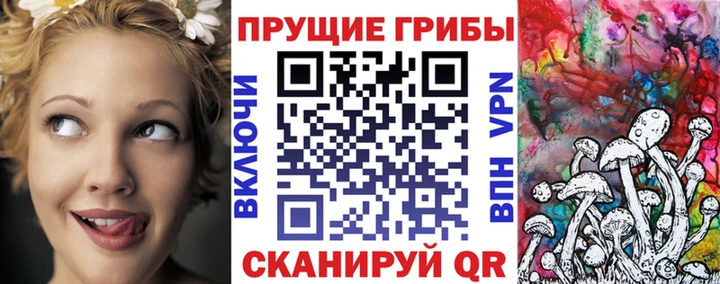 Галлюциногенные грибы Psilocybe  закладки  shop состав  Протвино  hydra зеркало 