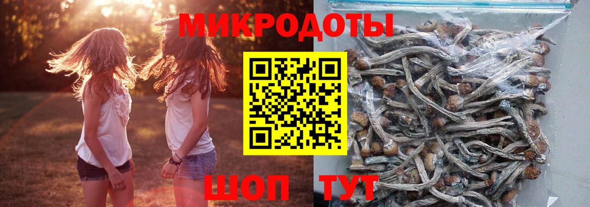 Галлюциногенные грибы Psilocybine cubensis  Псилоцибиновые грибы мухоморы  Протвино  Вход с VPN 