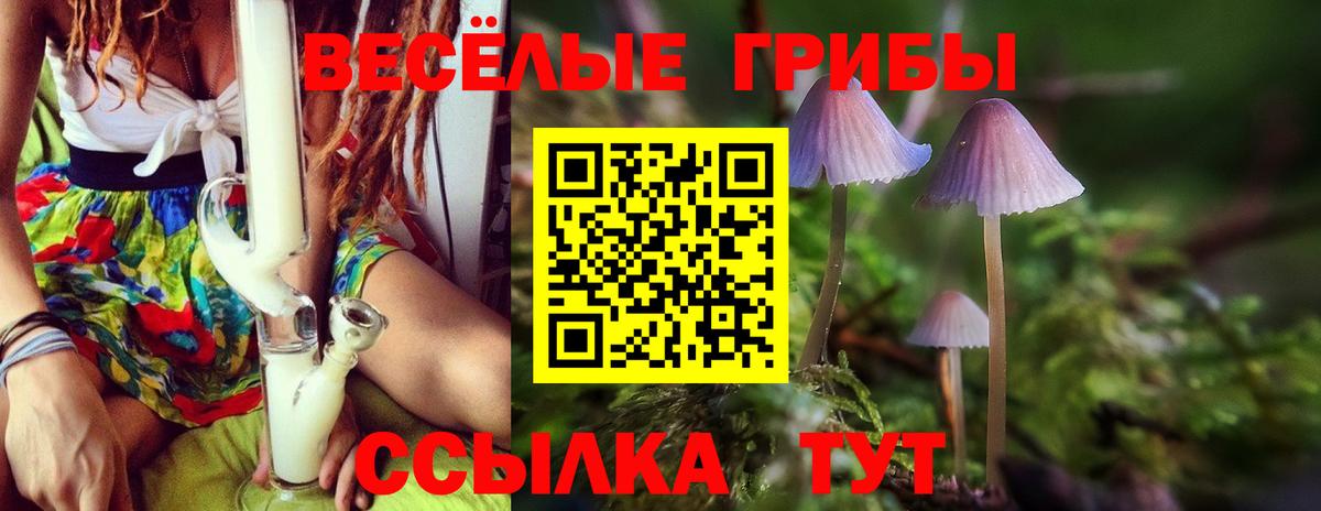 Галлюциногенные грибы Magic Shrooms Протвино